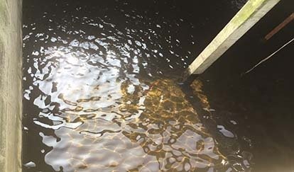 回用水池 回用水池