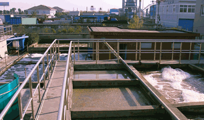 凡人食品污水處理全景 凡人食品污水處理全景