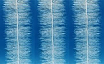 彈性填料產品最全介紹