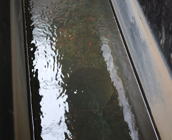 氣浮機除磷效果好嗎？